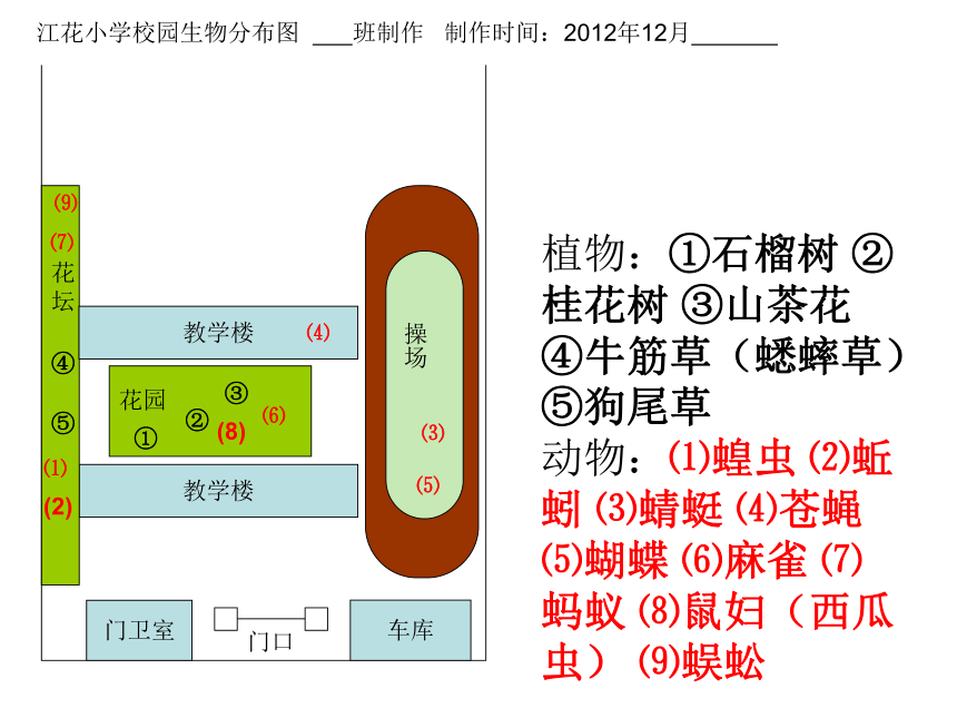 科学六年级上教科版42校园生物分布图课件5