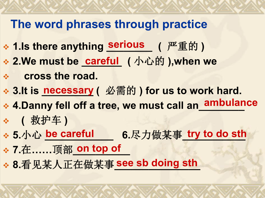 Unit 3 Safety.Lesson 13 Be Careful,Danny!课件