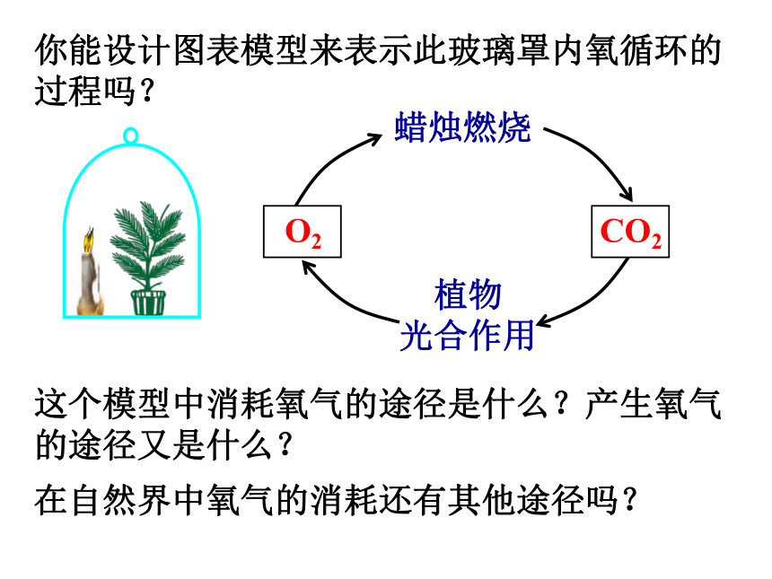 3.7自然界中的氧循环和碳循环