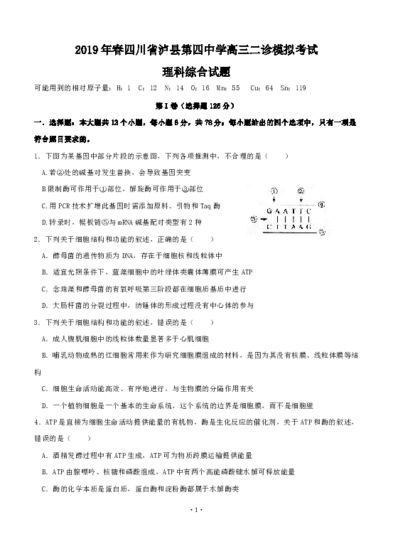 四川省泸县第四中学2019届高三二诊模拟 理科综合