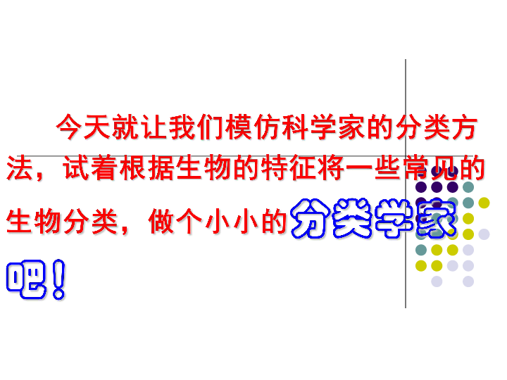 辽宁省大连市长兴岛初级中学（人教版）八年级生物学上册6.1.1尝试对生物进行分类课件(共22张PPT)