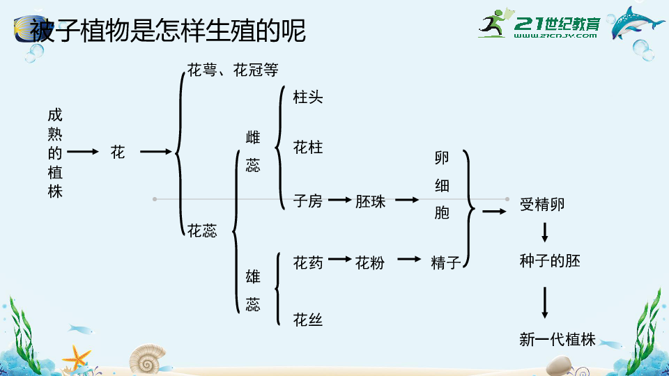 人教版八年级下册生物复习课件（共62页）