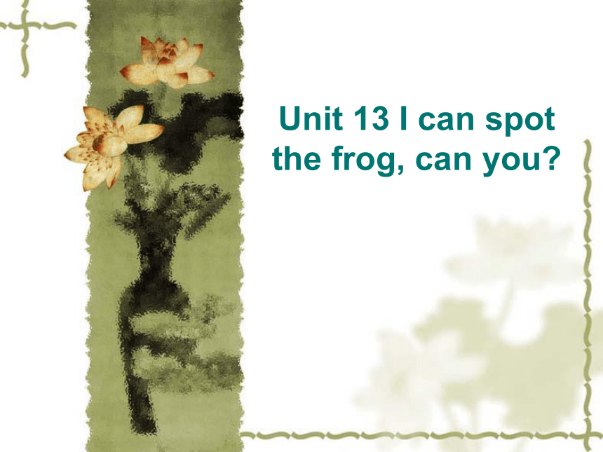 Unit 13 I can spot the frog 课件