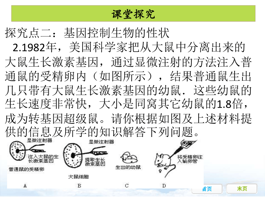 第一节 基因控制生物的性状 课件（共25张PPT）