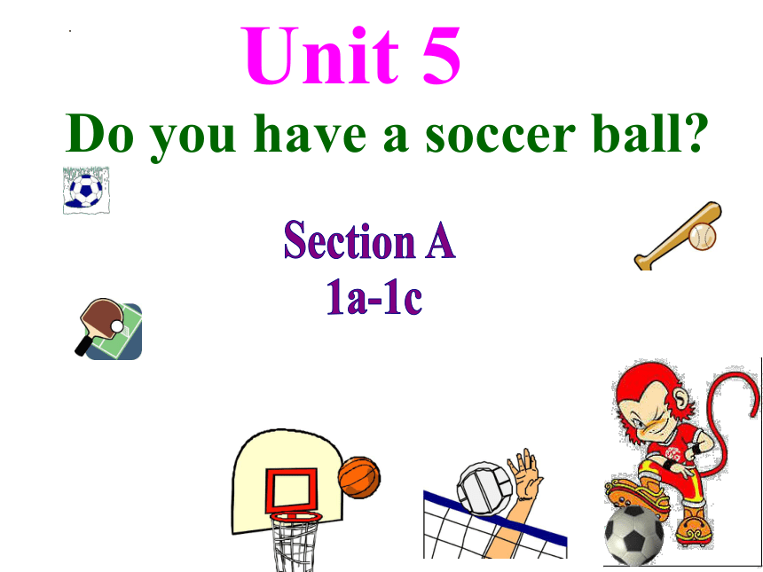 Unit 5 Do You Have A Soccer Ball? Section A (1a-1c) 课件 2022-2023学年人教版七 ...