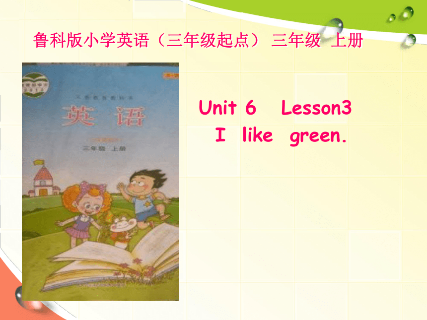 英语三年级上鲁科版Unit 6 Colours Lesson3  I like green.说课课件