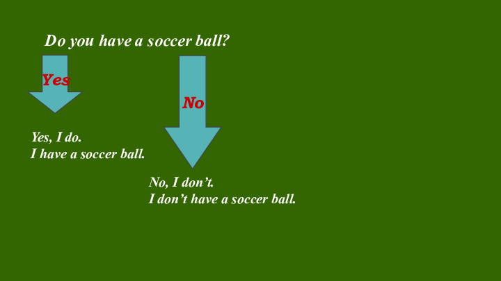 Unit 5 Do you have a soccer ball? 5.2 Grammar Focus（同步课件）