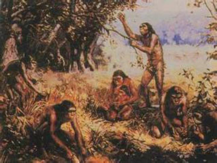 1.2 追寻人类祖先的足迹  课件（13张PPT）