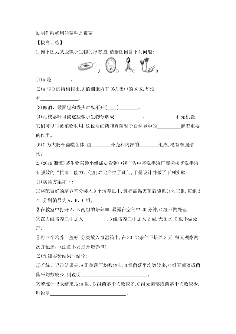 人教版八年级生物上册 第四章细菌、真菌&第五章病毒复习与拔高训练（word版，含答案）