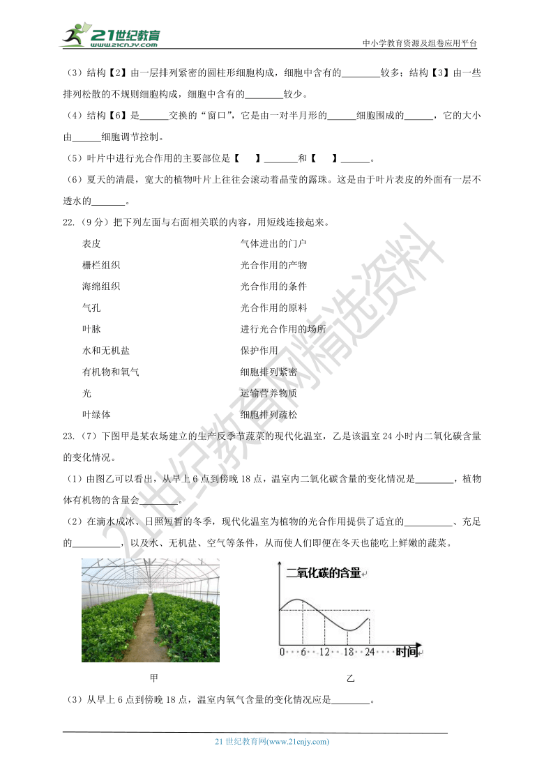 3.3《叶的光合作用》单元测试（含答案）