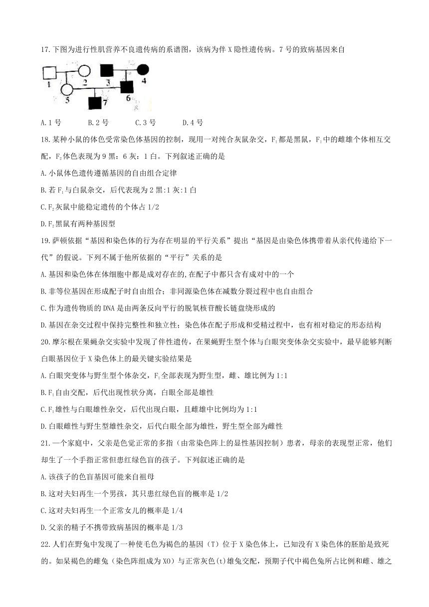 河北省石家庄市2016-2017学年高一下学期期末考试生物试题