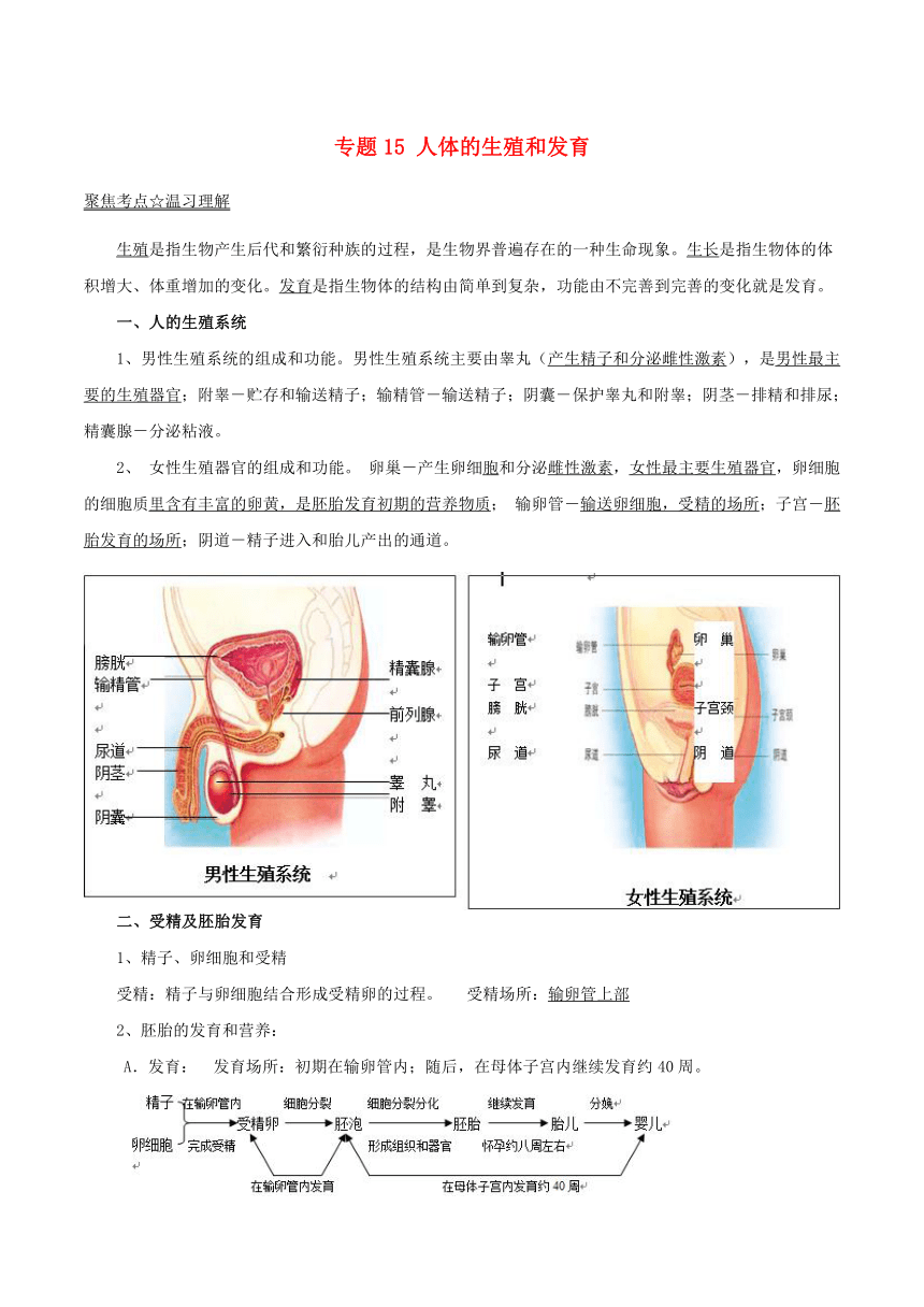 初二生物人体繁殖教材图片