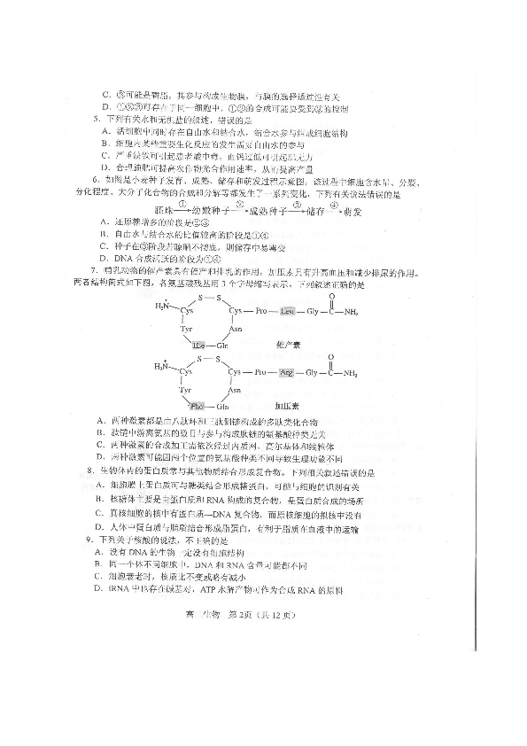 河南省南阳市2019-2020学年高二下学期期末考试生物试题 图片版