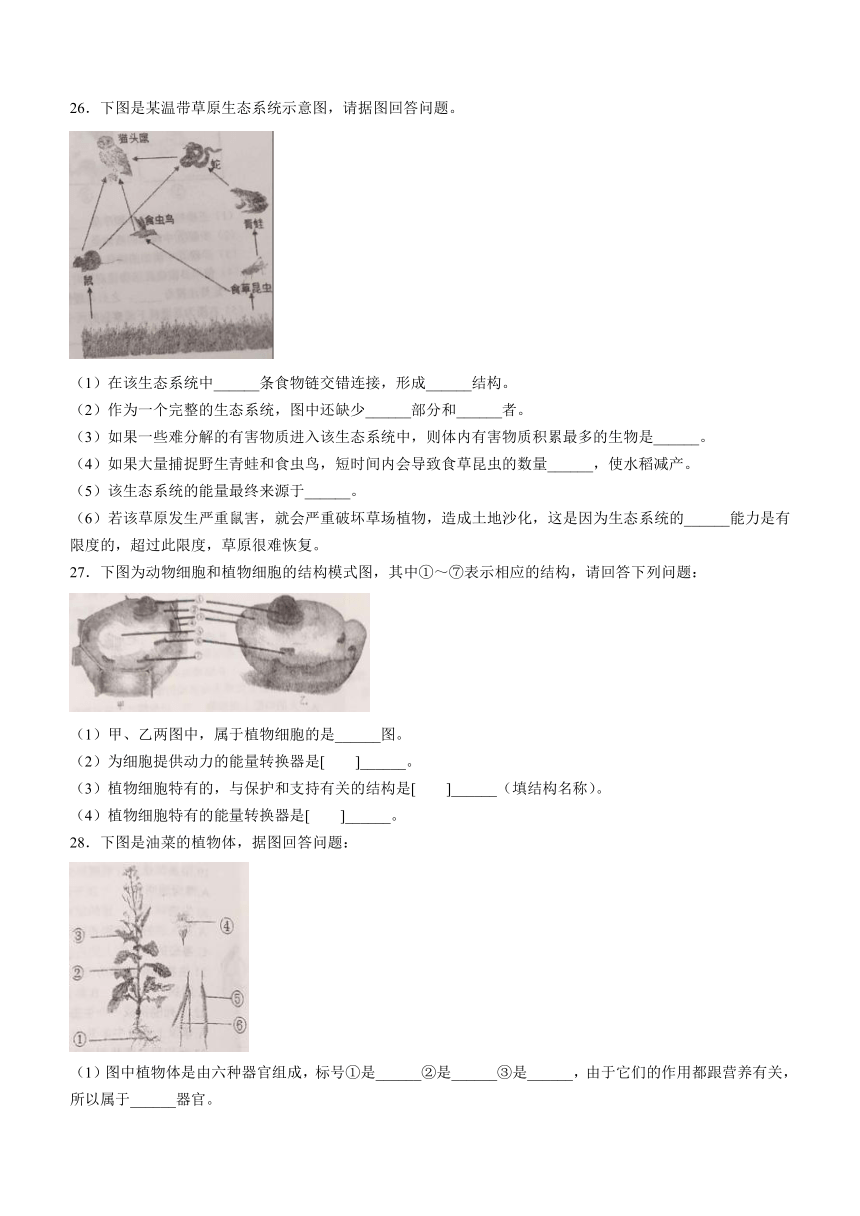 黑龙江省牡丹江市2021-2022学年七年级上学期期中生物试题（word版 含答案）