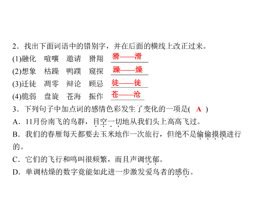 人教版八年级语文下册随堂训练课件：第3单元 14 大雁归来 (共16张PPT)