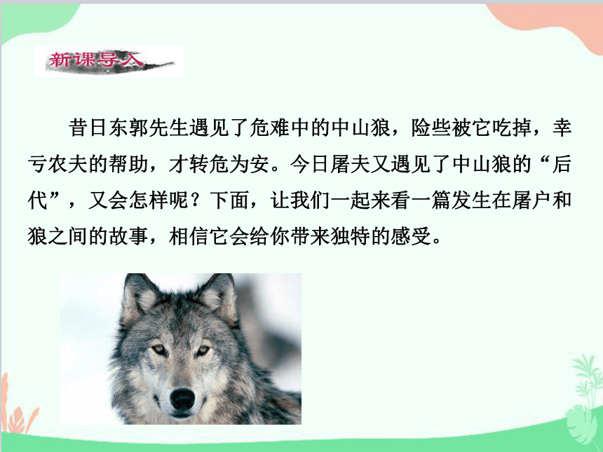 课件预览