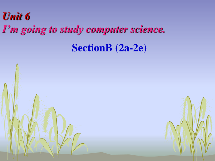 人教版八年级上 册Unit6 I'm Going To Study Computer Science.Section B 2a-2e课件(共 ...