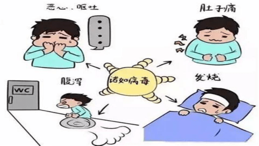 014bb3a1fbbb0c51c9bcd9e562056859.png