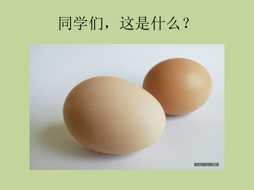 课件预览