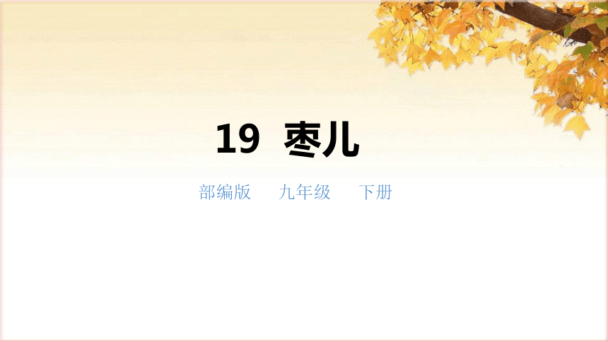 课件预览