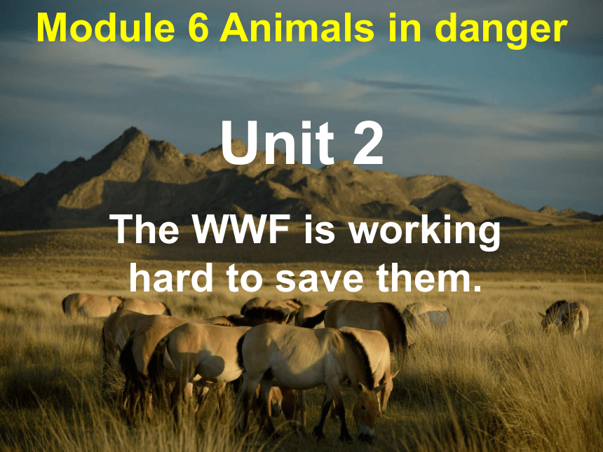 module-6-animals-in-danger-unit-2-the-wwf-is-working-hard-to-save-them