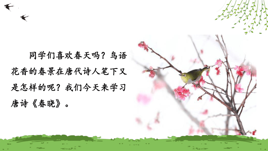 课件预览