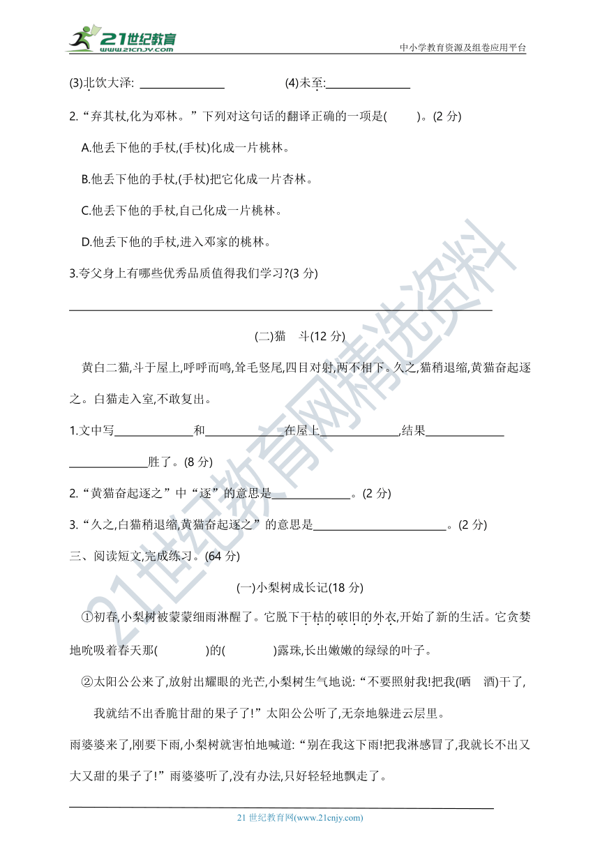 课件预览