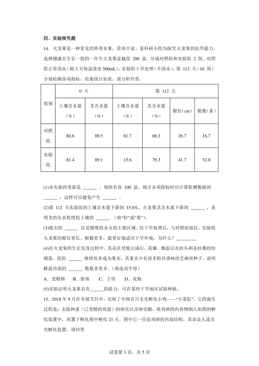 第六单元第一章生物的繁殖 练习（含答案） 八年级下册生物冀教版 21世纪教育网 9920