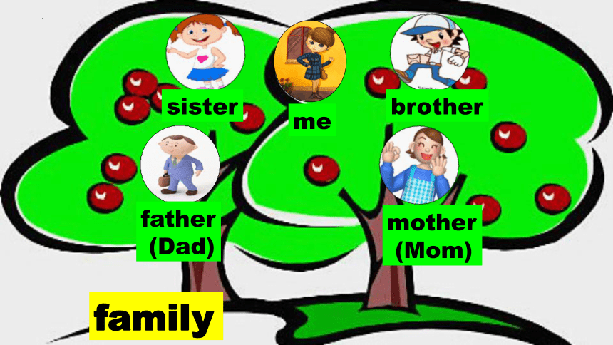 Unit 6 Meet My Family Part A Let's Learn 课件(共17张PPT)-21世纪教育网