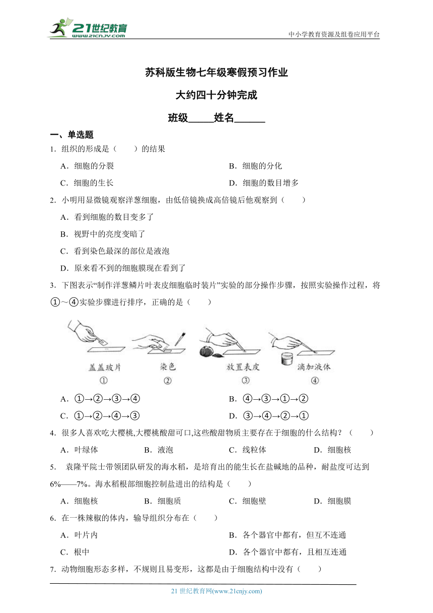 课件预览