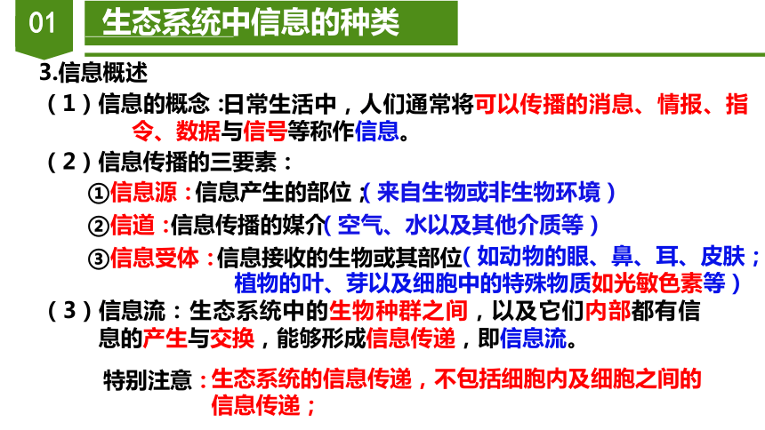 3.4 生态系统的信息传递课件（30张PPT）高二生物人教版（2019）选择性必修2-21世纪教育网