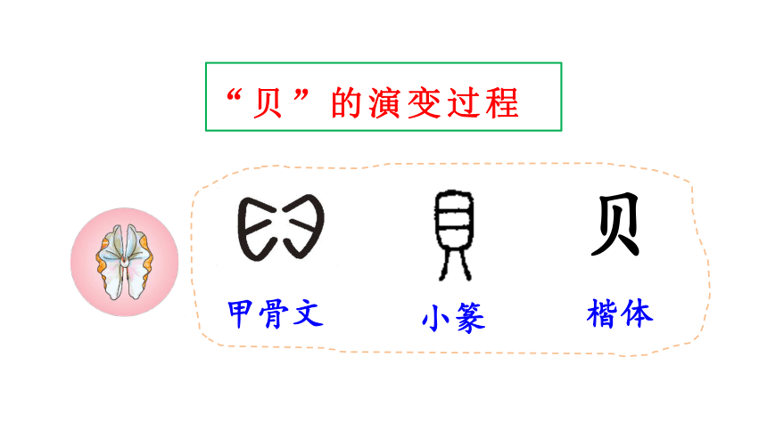 贝的甲骨文字图片图片