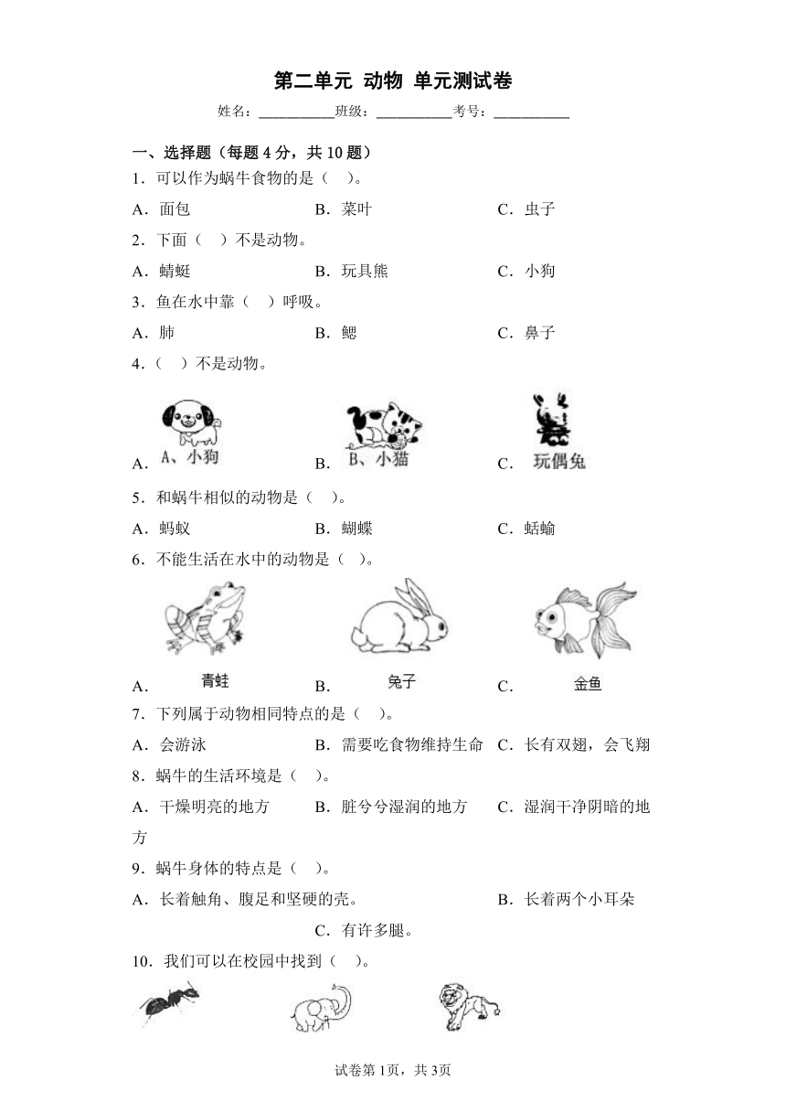 课件预览