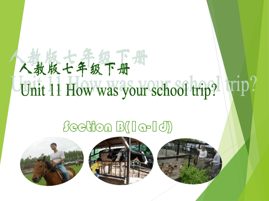 Unit 11 How Was Your School Trip?Section B（1a-1d）课件(共17张PPT)2022-2023学年 ...