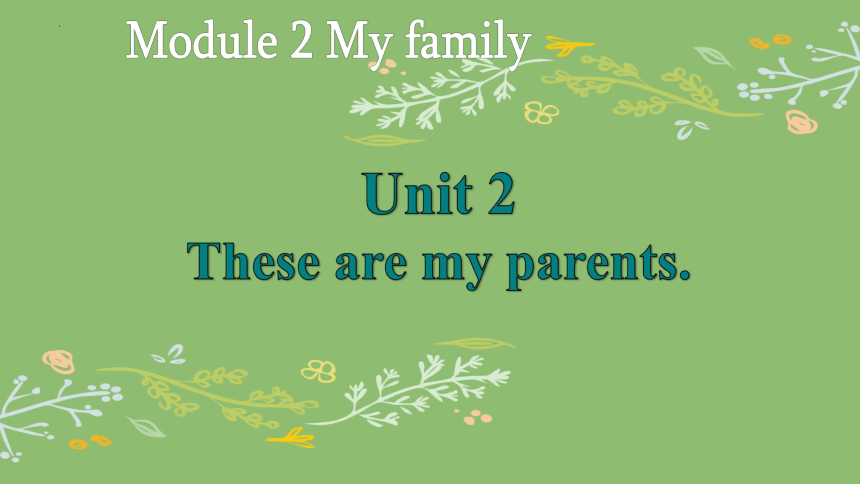 Module 2 Unit 2 These Are My Parents.课件(共20张PPT) 2022-2023学年外研版英语七年级上册 ...