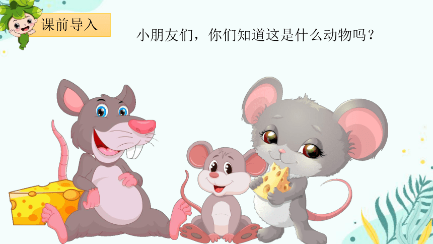 课件预览