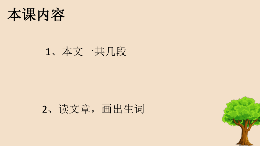 课件预览