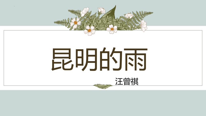 课件预览