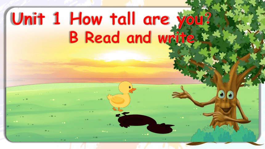 【优质课件】Unit 1 How Tall Are You B Read And Write 课件+素材(共39张PPT)-21世纪教育网