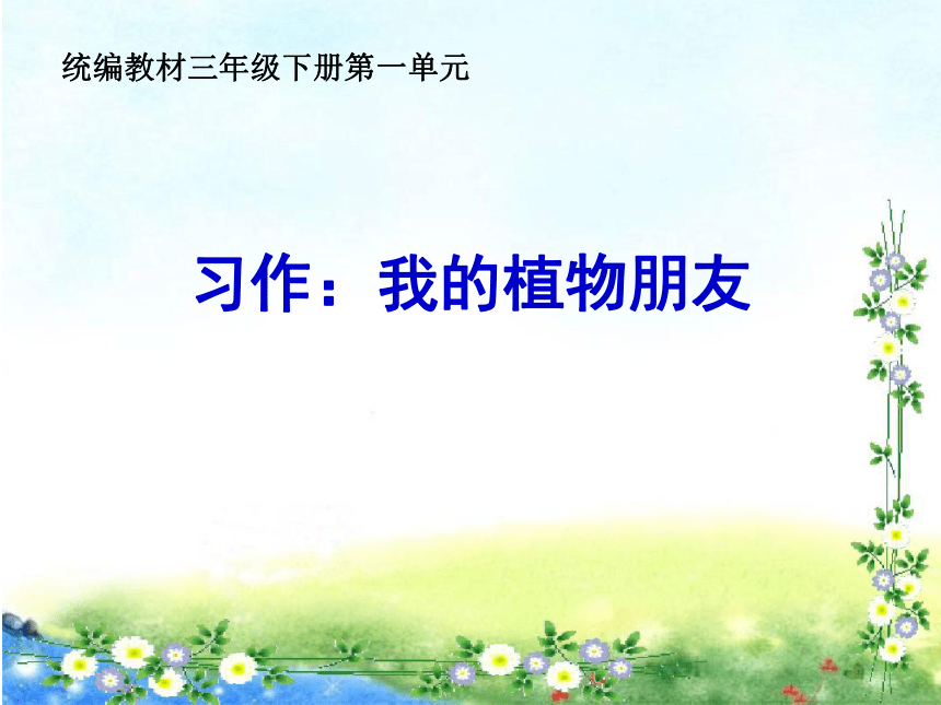 课件预览