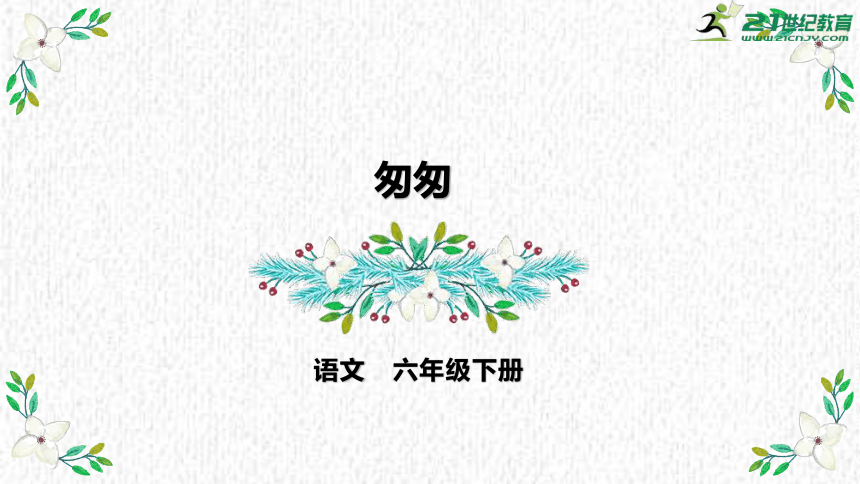 课件预览