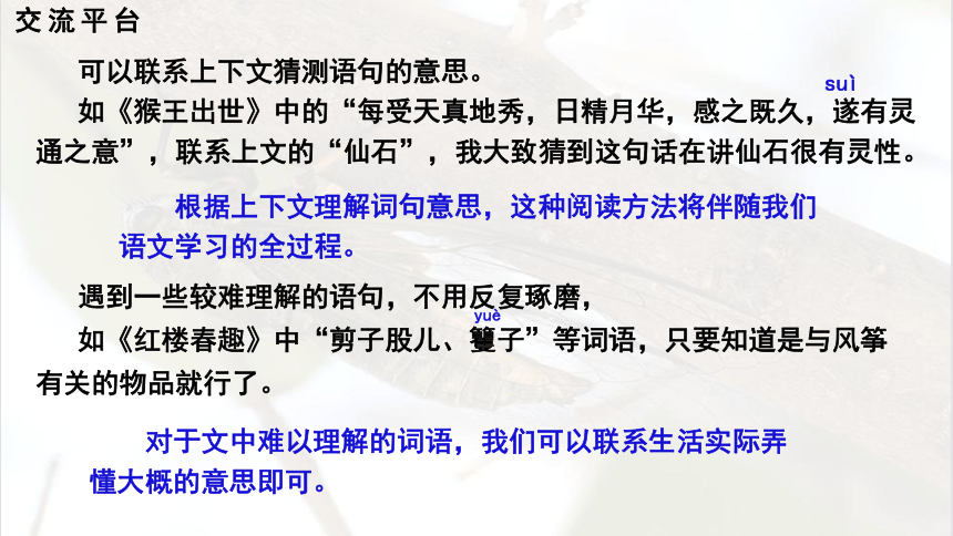 课件预览