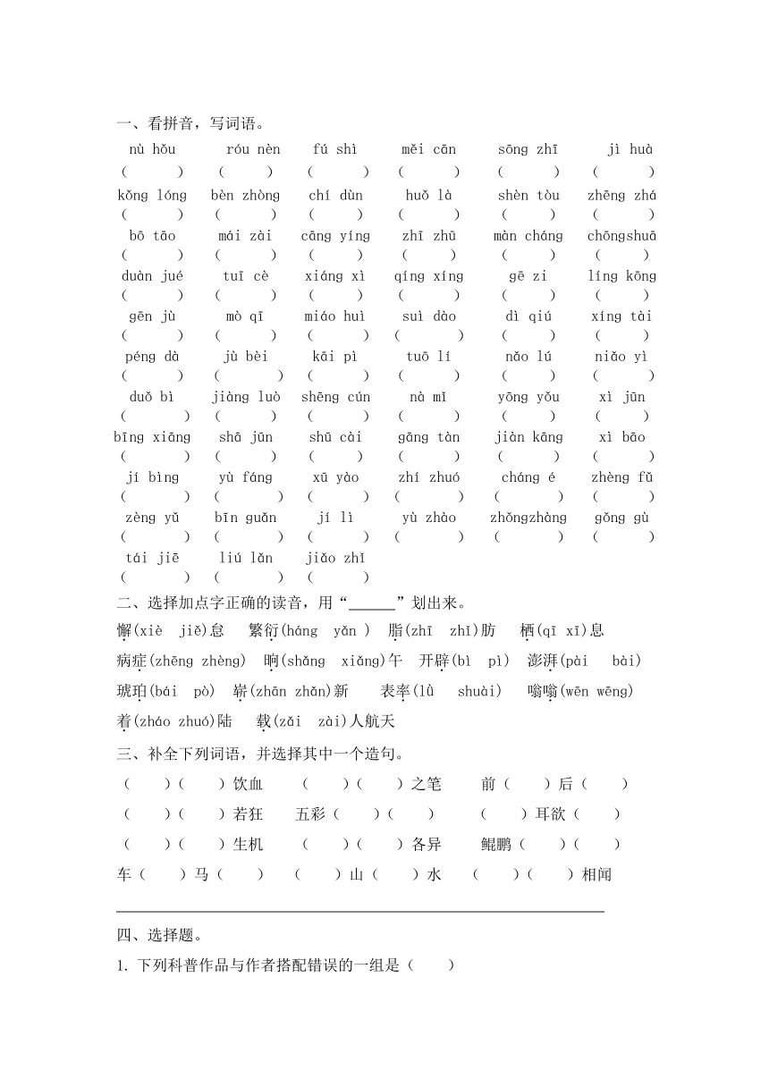课件预览