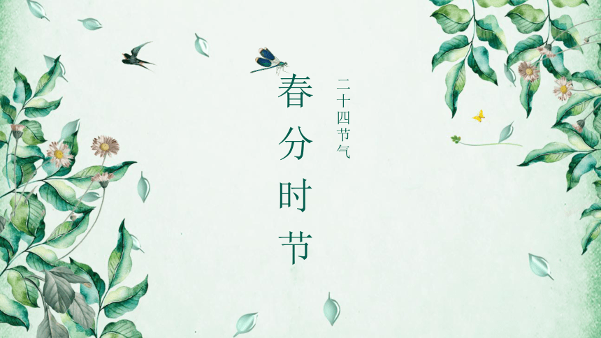 课件预览