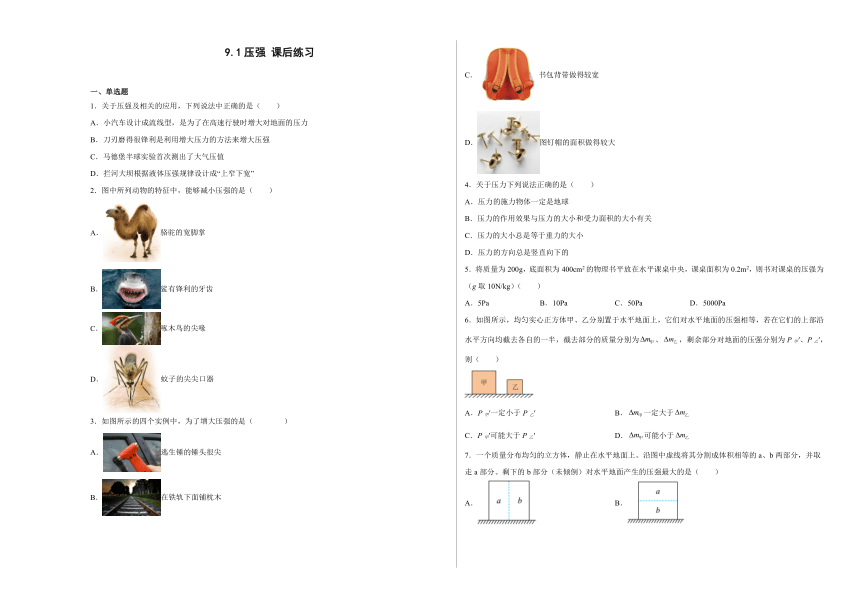课件预览