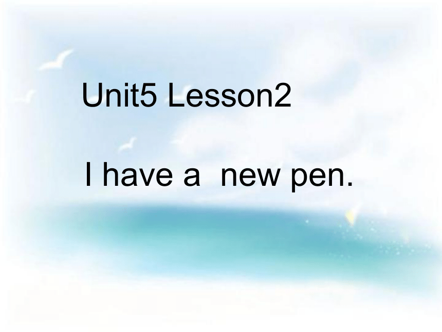 Unit 5 Lesson 2 I Have a new pen 课件