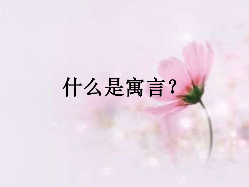 课件预览