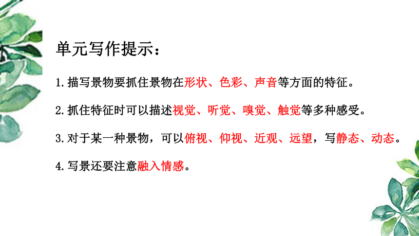 课件预览