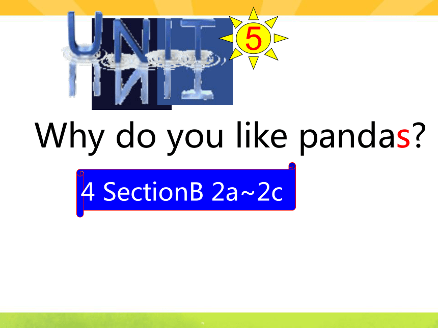 Unit 5 Why do you like pandas? SectionB 2a-2c课件（28张PPT）2022-2023学年人教版英语 ...