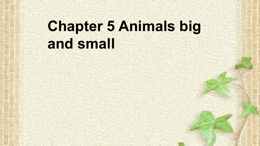 Chapter 5 Animals big and small课件(共27张PPT)